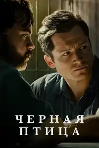постер Чёрная птица